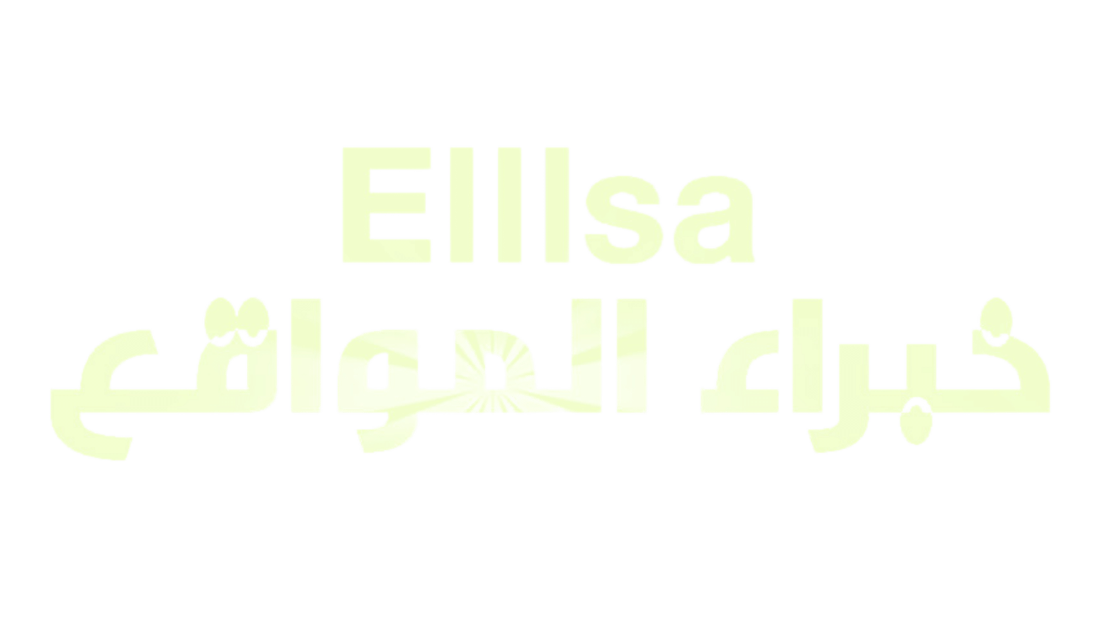 elllsa Store